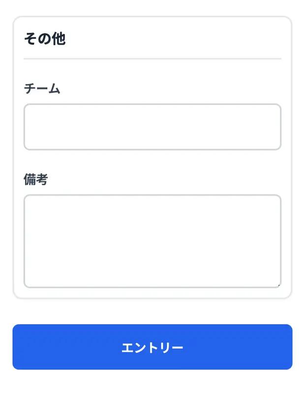 フォーム下部の「その他」と送信ボタン。チーム・備考は任意です。
